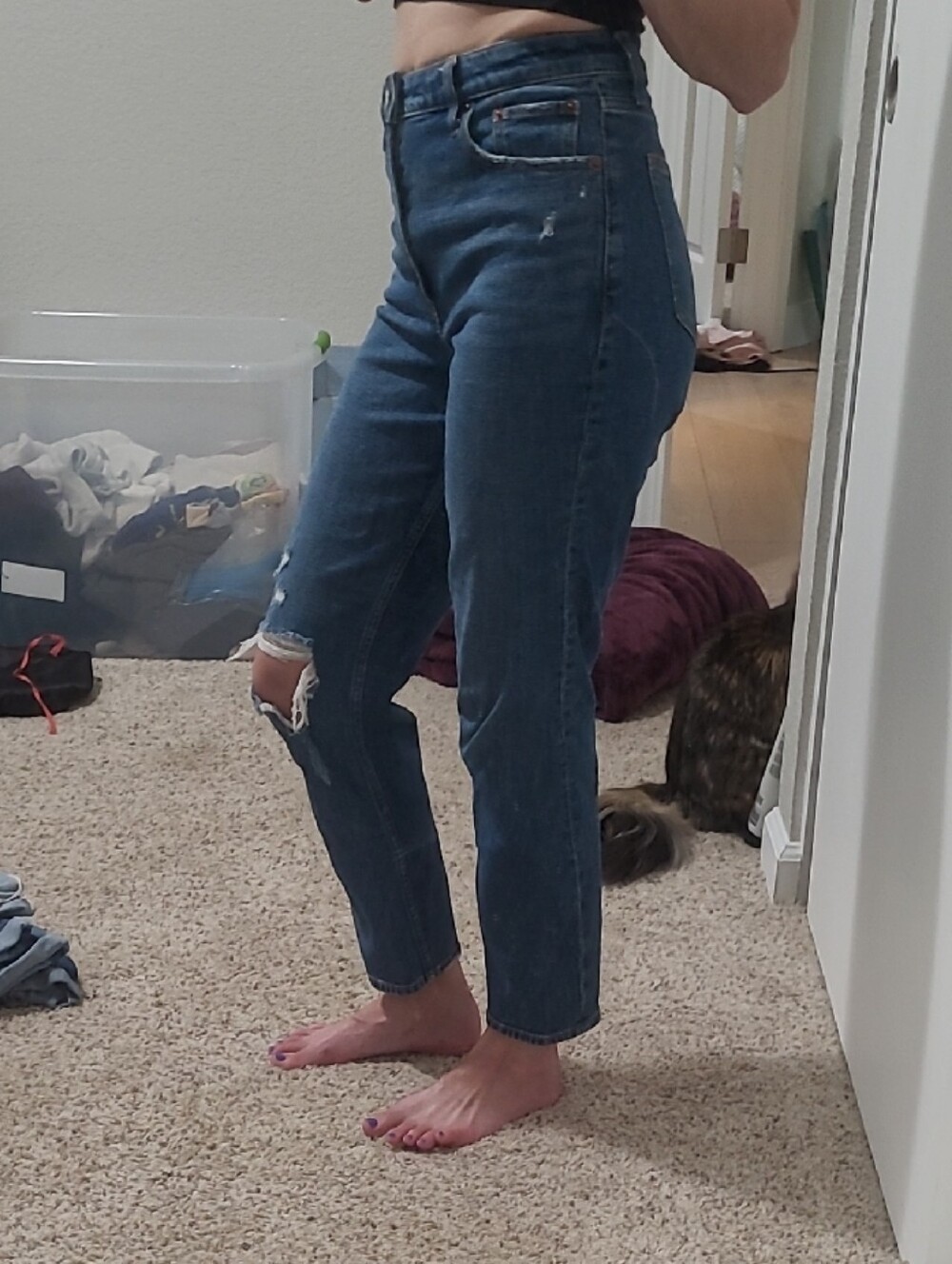 Abercrombie & Fitch The Mom High Rise Jeans